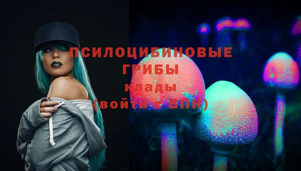 Альфа ПВП Балабаново